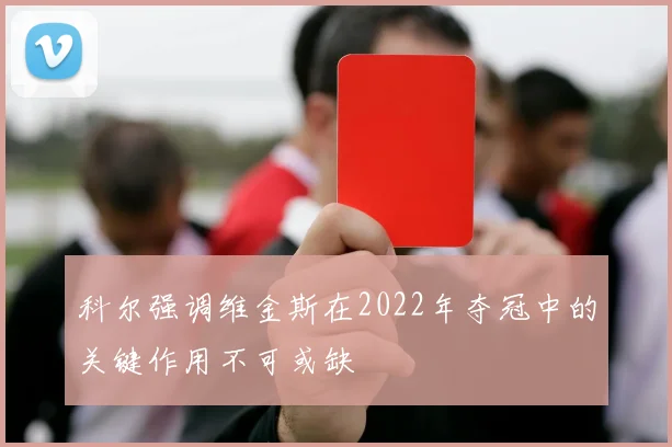 科尔强调维金斯在2022年夺冠中的关键作用不可或缺